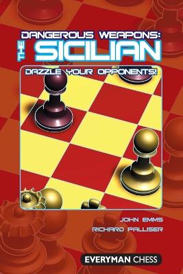 Book cover for The Sicilian