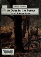 Book cover for The Deer in the Forest