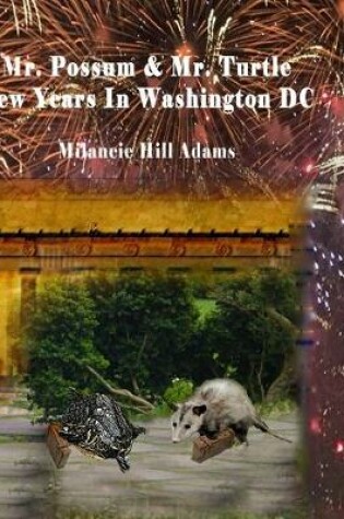 Cover of Mr. Possum & Mr. Turtle - New Years in Washington DC