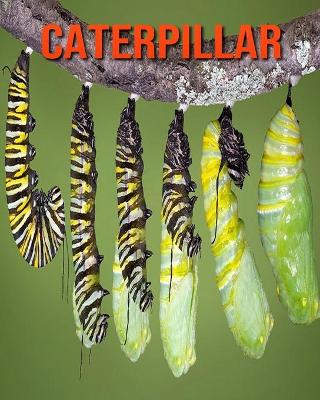 Book cover for Caterpillar