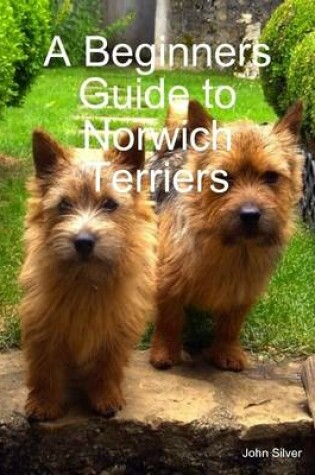 Cover of A Beginners Guide to Norwich Terriers