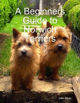 Book cover for A Beginners Guide to Norwich Terriers