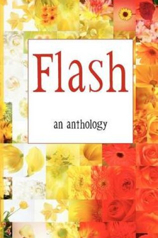 Cover of Flash - an anthology