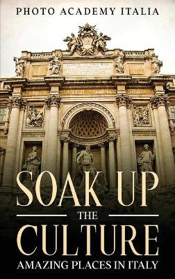 Book cover for Soak Up the Culture