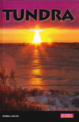 Cover of Tundra