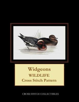 Book cover for Widgeons