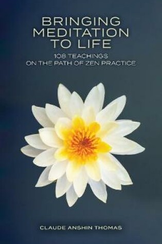 Cover of Bringing Meditation to Life