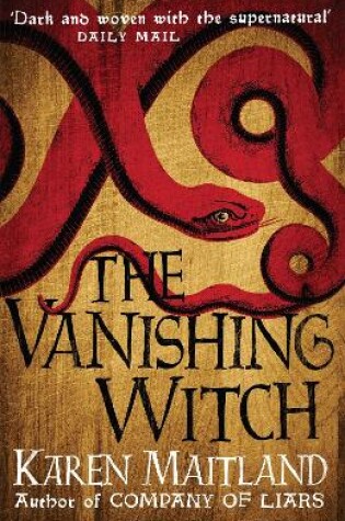Cover of The Vanishing Witch