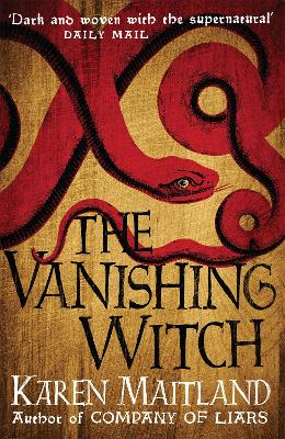 Book cover for The Vanishing Witch