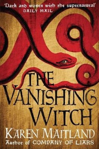 Cover of The Vanishing Witch