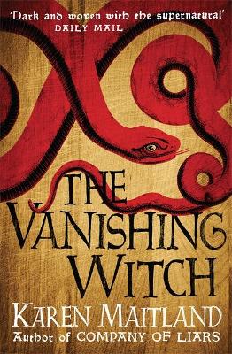 Book cover for The Vanishing Witch