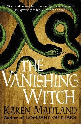Book cover for The Vanishing Witch