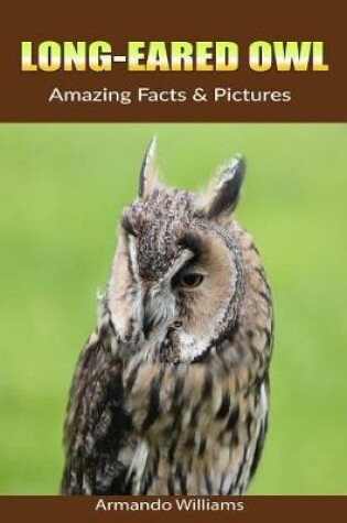 Cover of Long-Eared Owl