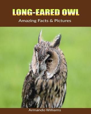 Book cover for Long-Eared Owl