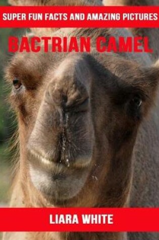 Cover of Bactrian Camel