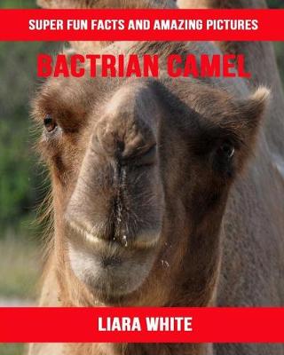 Book cover for Bactrian Camel