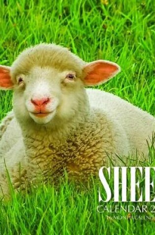 Cover of Sheep Calendar 2020