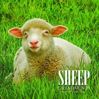 Book cover for Sheep Calendar 2020