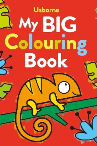 Cover of My Big Colouring Book