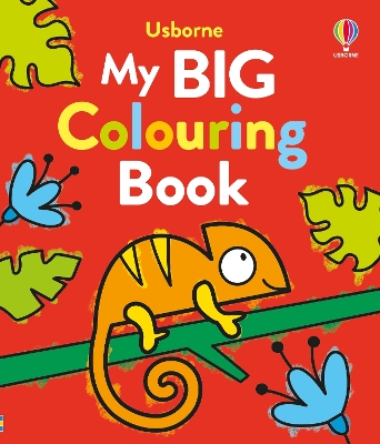 Book cover for My Big Colouring Book