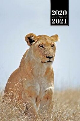 Cover of Lion Week Planner Weekly Organizer Calendar 2020 / 2021 - High Grass