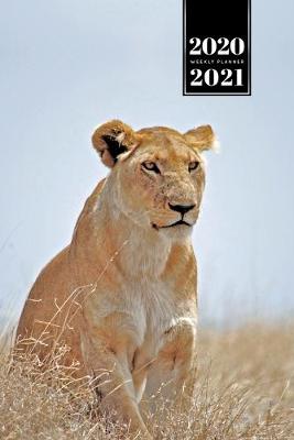 Book cover for Lion Week Planner Weekly Organizer Calendar 2020 / 2021 - High Grass