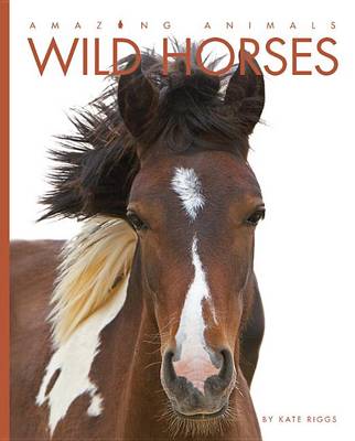 Book cover for Amazing Animals Wild Horses