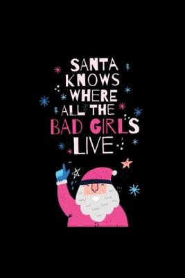 Book cover for Santa Knows where all the bad Girls live, BAD GIRL