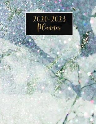 Cover of 2020-2023 Planner