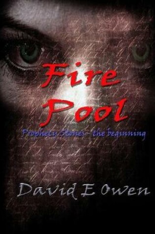 Cover of Fire Pool