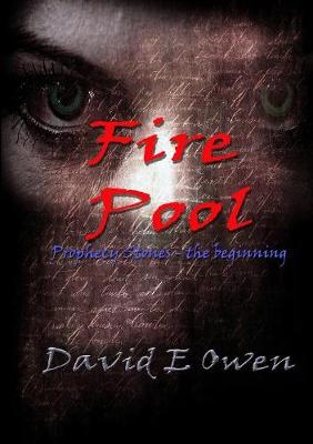 Book cover for Fire Pool