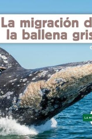 Cover of La Migraci�n de la Ballena Gris (Gray Whale Migration)