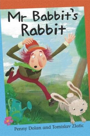 Cover of Mr Babbit's Rabbit