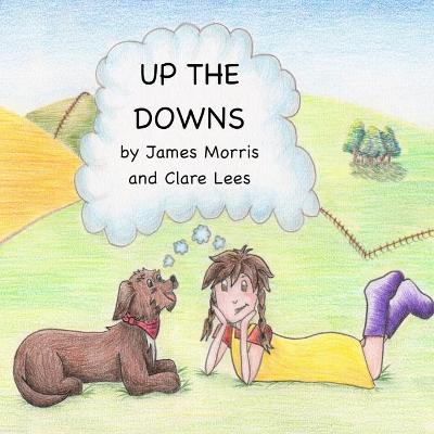 Book cover for Up The Downs