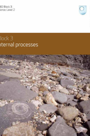 Cover of Internal Processes