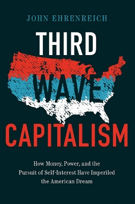 Book cover for Third Wave Capitalism