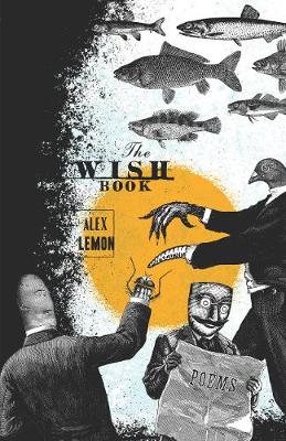 Book cover for The Wish Book