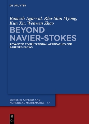 Cover of Beyond Navier-Stokes