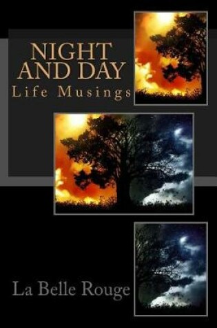 Cover of Night And Day