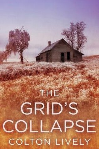 Cover of The Grid's Collapse