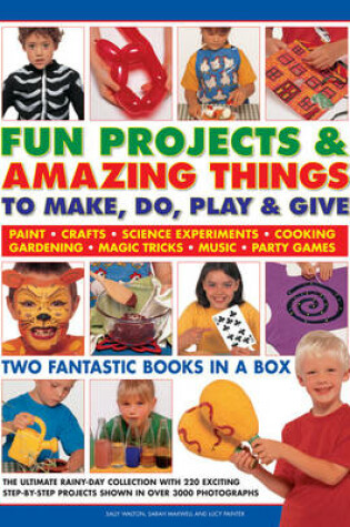 Cover of Fun Projects and Amazing Things to Make, Do, Play and Give