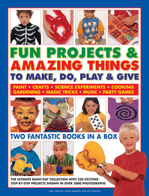 Book cover for Fun Projects and Amazing Things to Make, Do, Play and Give