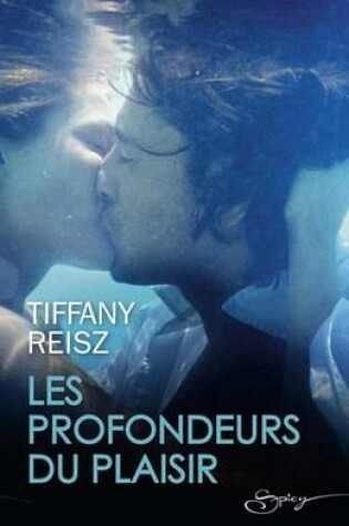Cover of Les Profondeurs Du Plaisir