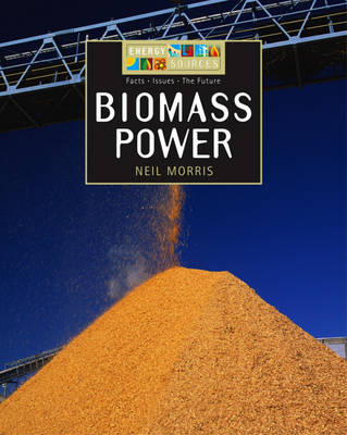 Book cover for Biomass Power