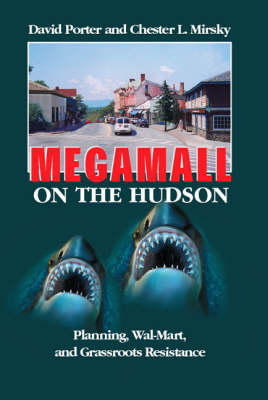 Book cover for Megamall on the Hudson