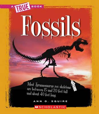 Book cover for Fossils