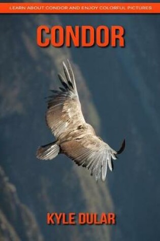 Cover of Condor! Learn about Condor and Enjoy Colorful Pictures