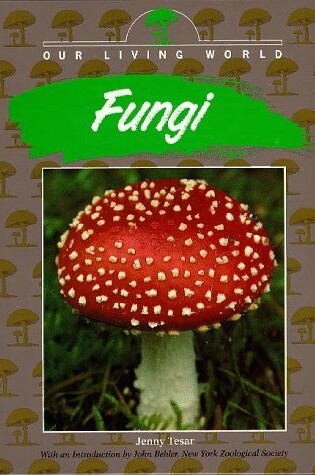 Cover of Fungi