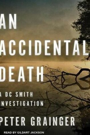 Cover of An Accidental Death