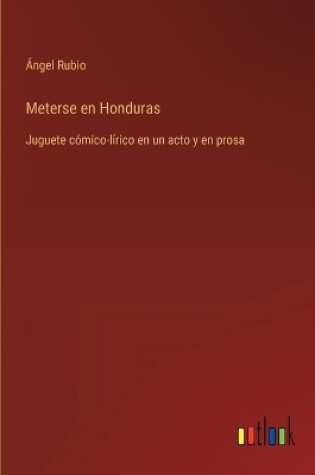 Cover of Meterse en Honduras